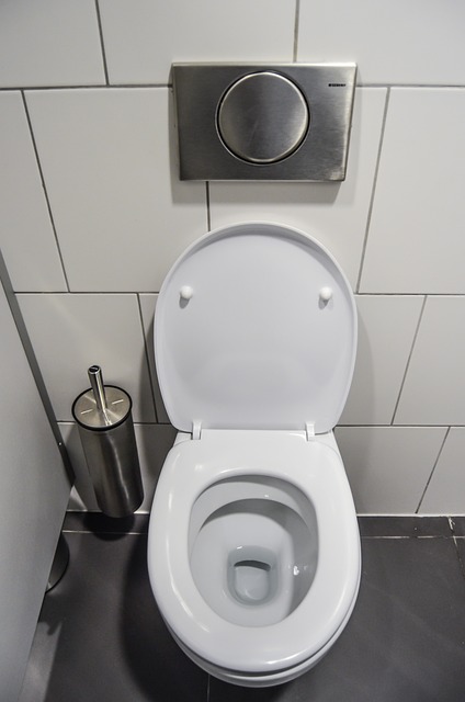 Když se ucpe záchod, může být závada až v kanalizaci